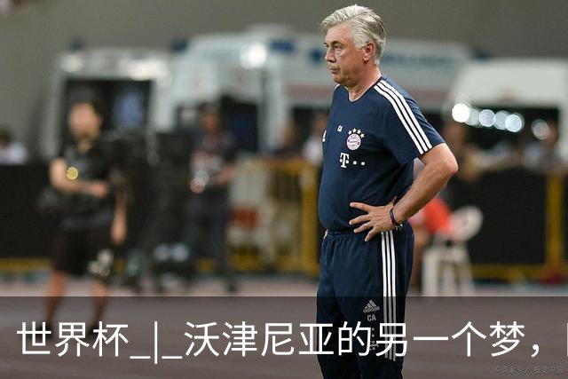 世界杯 | 沃津尼亚的另一个梦，圆了